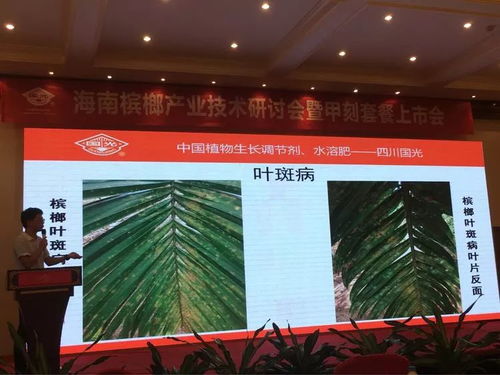 創(chuàng)新驅(qū)動(dòng)，共贏未來——2018檳榔產(chǎn)業(yè)技術(shù)研討交流會(huì)紀(jì)實(shí)與展望