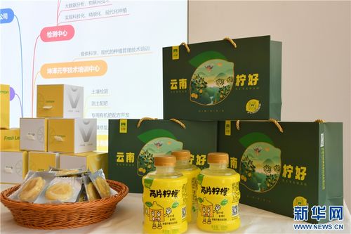 永勝小檸檬 技術推廣凝聚鄉村振興大力量